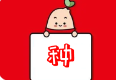 软文发布